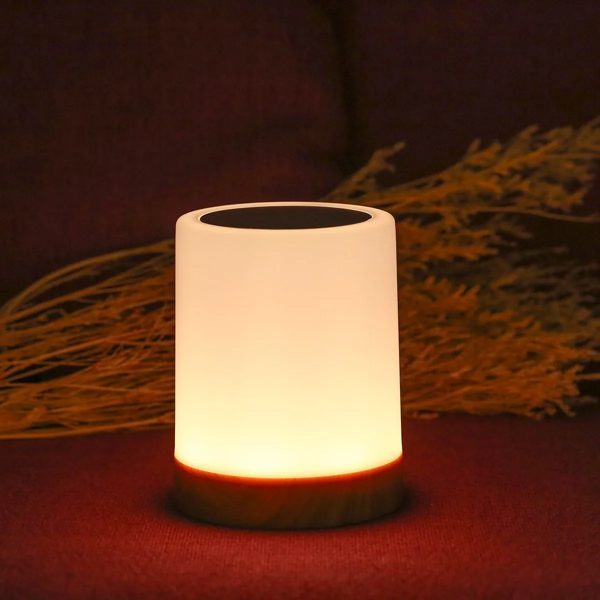USB Rechargeable Touching Control Bedside Light Dimmable Table Lamp Warm White & RGB Night Light
